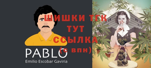 ALPHA PVP Горно-Алтайск